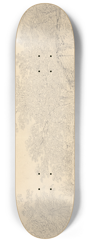 John Webber - Village Scene 8.25 inch art skate deck