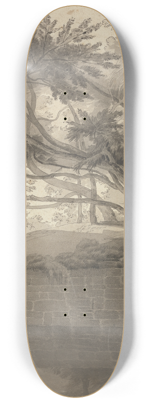 John White Abbott - Trees Overhanging a Lake 8.25 inch art skate deck