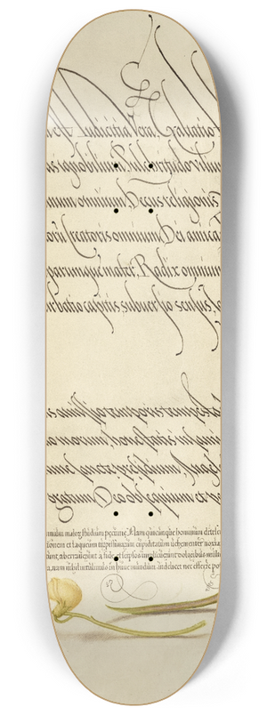 Joris Hoefnagel - Bladder Senna and Alpine Squill 8.25 inch art skate deck