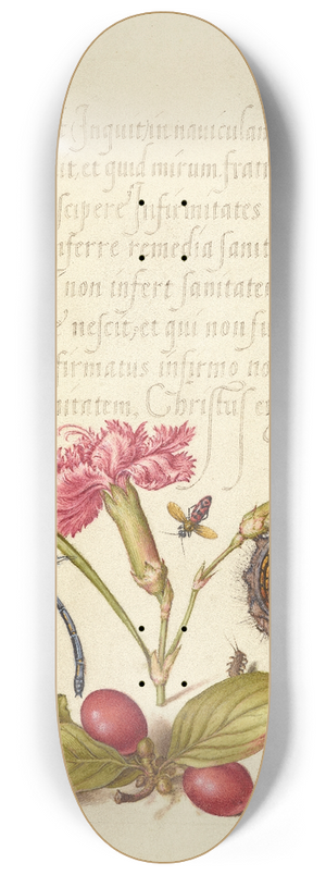 Joris Hoefnagel - Damselfly, Carnation, Firebug, Caterpillar, Carnelian Cherry, and Centipede 8.25 inch art skate deck