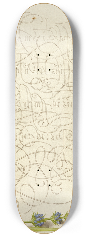 Joris Hoefnagel - Insect and Hyssop 8.25 inch art skate deck