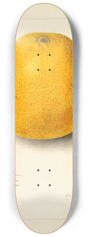 Amanda Almira Newton - Citrus sinensis: Ichang 8.25 inch art skate deck Amanda Almira Newton - Citrus sinensis: Ichang 8.25 inch art skate deck