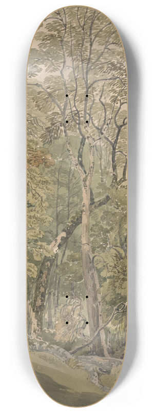 Joseph Powell - In Rydal Park 8.25 inch art skate deck