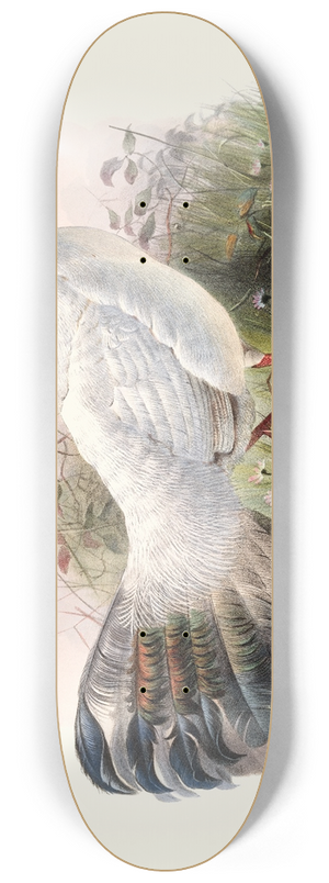 Joseph Smit - Crossoptilon Drouynii. 8.25 inch art skate deck