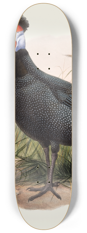Joseph Smit - Numida Granti. 8.25 inch art skate deck