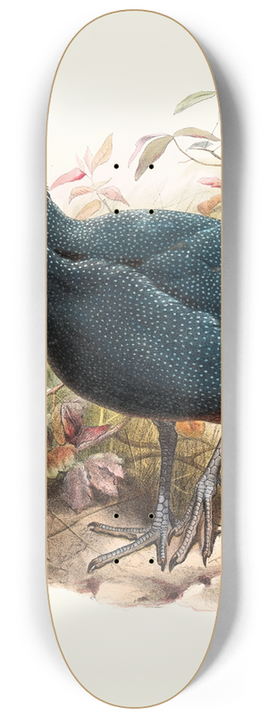 Joseph Smit - Numida plumifera. 8.25 inch art skate deck
