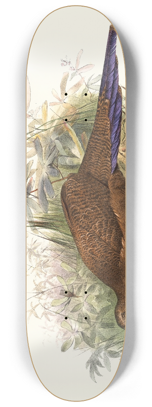 Joseph Smit - Polyplectron chalcurum. 8.25 inch art skate deck