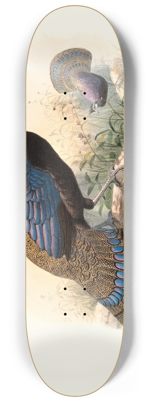Joseph Smit - Polyplectron emphanum. 8.25 inch art skate deck