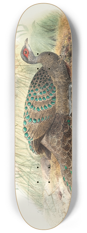 Joseph Smit - Polyplectron Germaini. 8.25 inch art skate deck