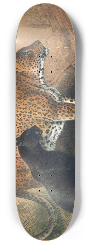 Joseph Wolf - The Leopard 8.25 inch art skate deck