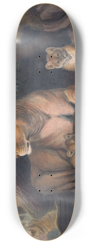 Joseph Wolf - The Lion 8.25 inch art skate deck
