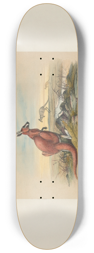 Joseph Wolf - The Red Kangaroo 8.25 inch art skate deck