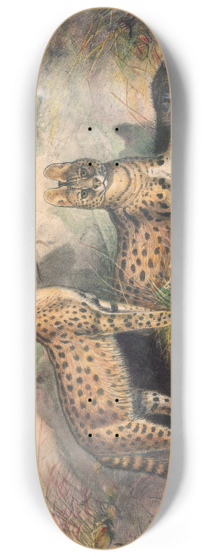 Joseph Wolf - The Serval 8.25 inch art skate deck