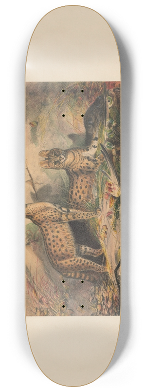 Joseph Wolf - The Serval 8.25 inch art skate deck