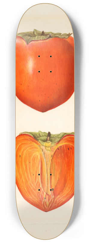 Amanda Almira Newton - Diospyros: Hachiya 8.25 inch art skate deck