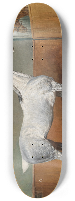 Julius von Blaas - A Dappled-Grey Horse 8.25 inch art skate deck