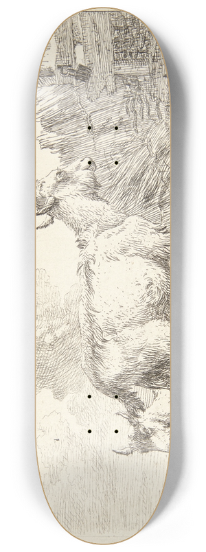 Karel Dujardin - Fire geder 8.25 inch art skate deck
