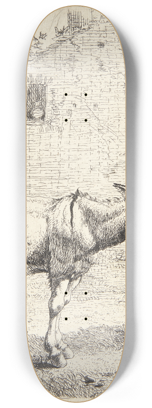 Karel Dujardin - To sler 8.25 inch art skate deck