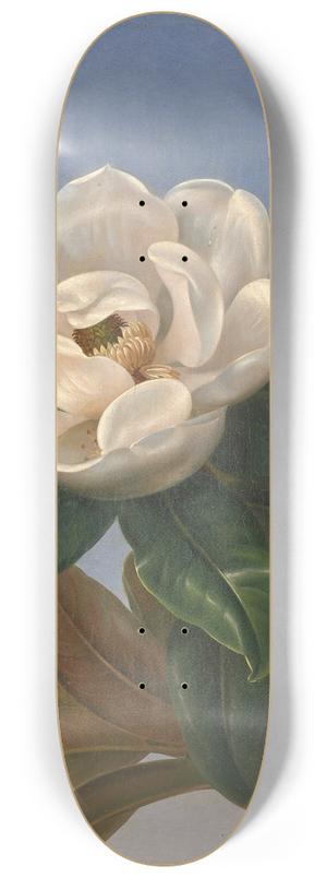 Johan Laurentz Jensen - Fleur de magnolia 8.25 inch art skate deck