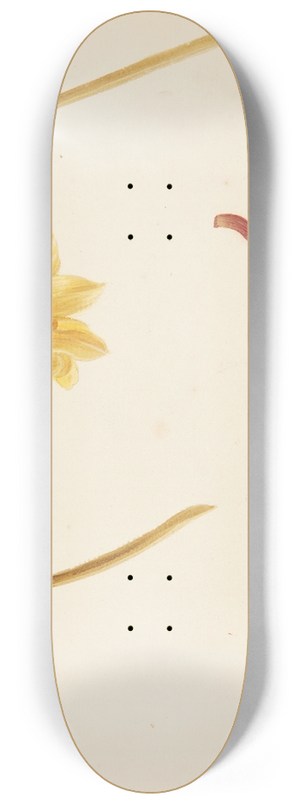 Johanna Fosie - Studie af blomster og lg 8.25 inch art skate deck Johanna Fosie - Studie af blomster og lg 8.25 inch art skate deck