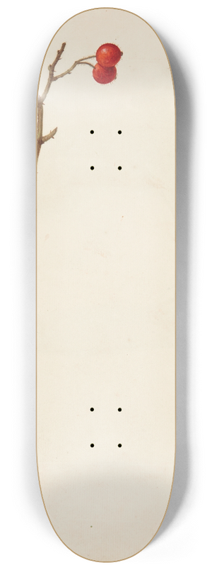 Johanna Fosie - Studie af hyben og stedmoderblomst 8.25 inch art skate deck Johanna Fosie - Studie af hyben og stedmoderblomst 8.25 inch art skate deck