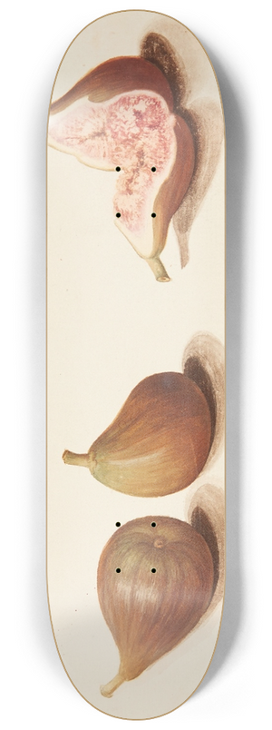 Johanna Fosie - Studie af moreller og figner 8.25 inch art skate deck Johanna Fosie - Studie af moreller og figner 8.25 inch art skate deck