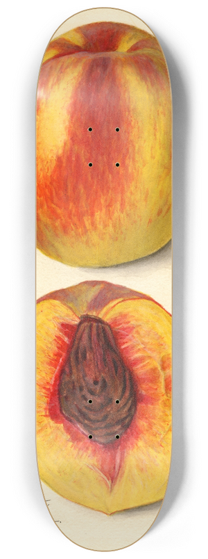 Amanda Almira Newton - Prunus persica: J 8.25 inch art skate deck