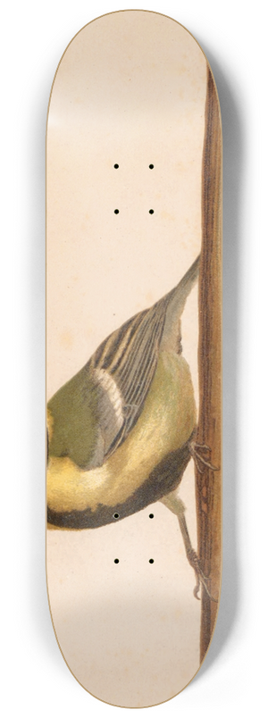 Lo-Paul Robert - Msange Charbonnire 8.25 inch art skate deck