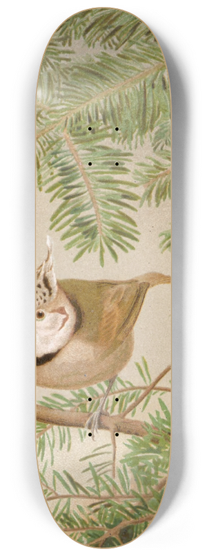 Lo-Paul Robert - Msange Huppe 8.25 inch art skate deck