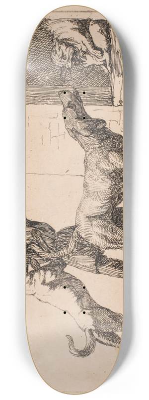 Lorenz Frlich - Billede 8.25 inch art skate deck