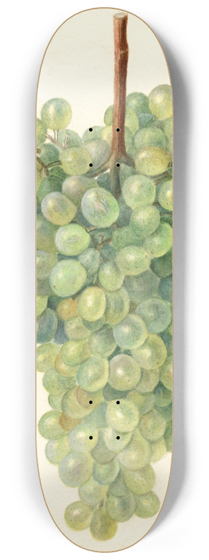 Amanda Almira Newton - Vitis: Clarette a Gros Grains 8.25 inch art skate deck