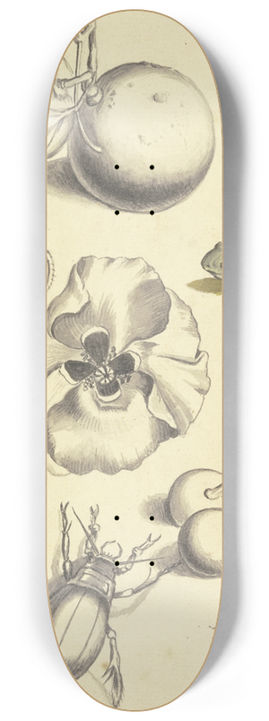 Johann Daniel Bager - Studienblatt mit einer Mohnblume, Pflaumen, Kirschen, zwei Kfern, einer Fliege, einer Biene und einem Frosch 8.25 inch art skate deck