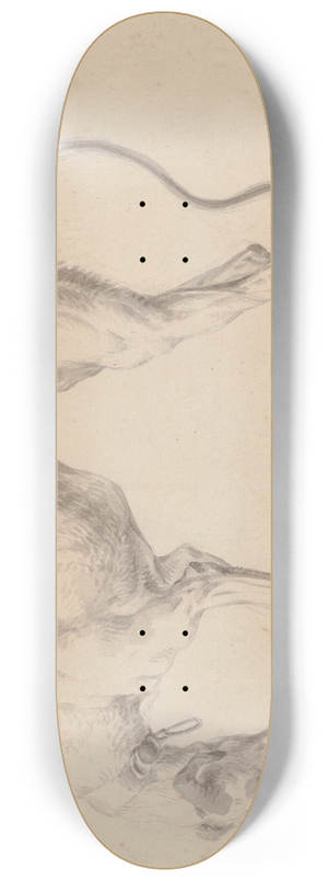 Johann Elias Ridinger - Study of a greyhound 8.25 inch art skate deck