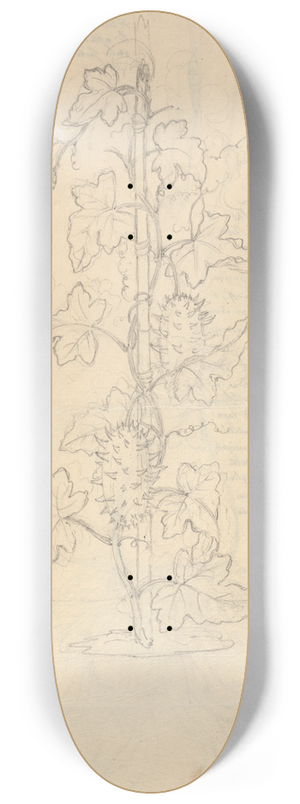 Luigi Balugani - Cucumis Metuliferus 8.25 inch art skate deck