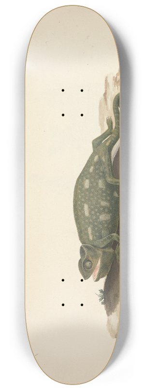 Luigi Balugani - Unidentified Chameleon 8.25 inch art skate deck