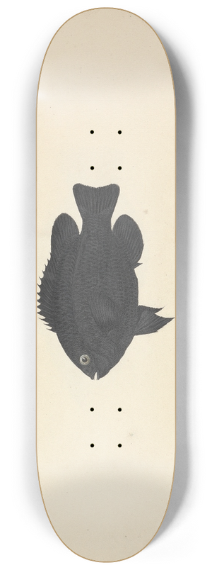 Luigi Balugani - Unidentified Fish 8.25 inch art skate deck