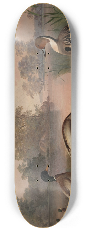Magnus Von Wright - Ducks 8.25 inch art skate deck