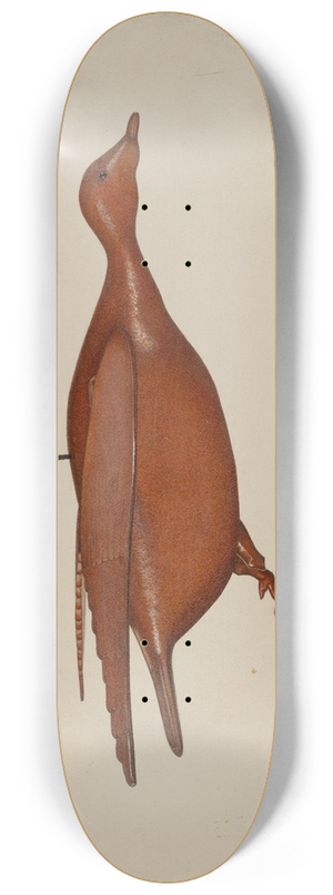 Malcolm Hackney - Flying Duck 8.25 inch art skate deck