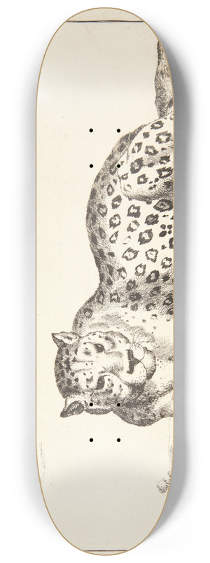 Marcus de Bye - Liggende leopard, vendt mod venstre 8.25 inch art skate deck