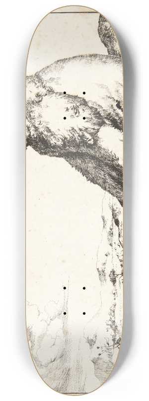 Marcus de Bye - Siddende bjrn, vendt mod venstre 8.25 inch art skate deck