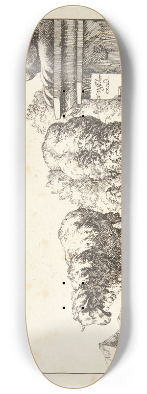 Marcus de Bye - Titelblad til Fr 8.25 inch art skate deck