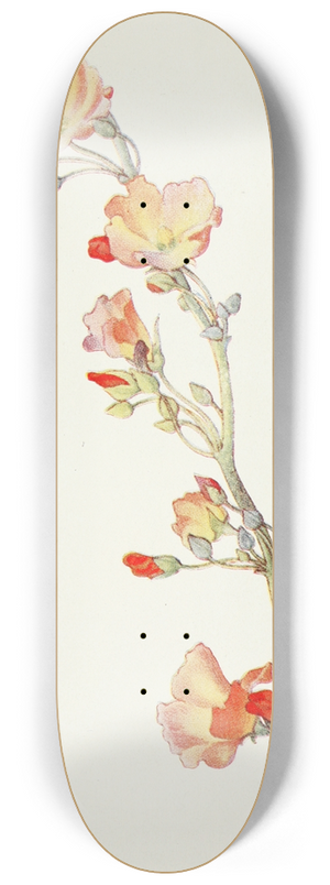 Margaret Armstrong - Salmon Globe Mallow 8.25 inch art skate deck