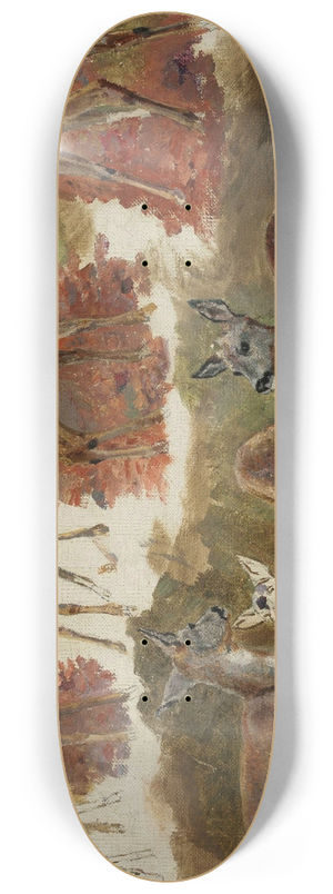 Maria Klass-Kazanowska - Studies of does 8.25 inch art skate deck