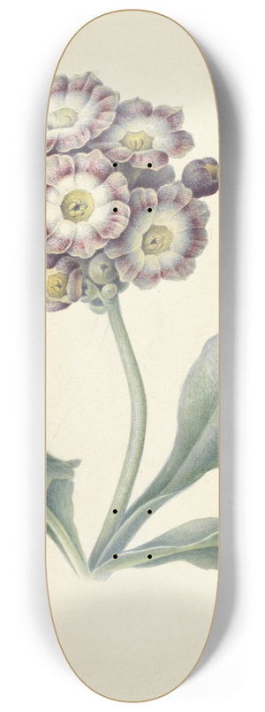 Maria Margaretha van Os - Bloemenstudie 8.25 inch art skate deck