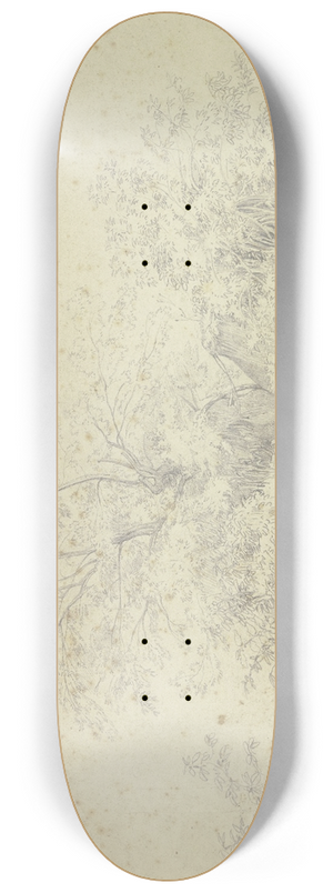 Johannes Thomas - Vegetation picture 8.25 inch art skate deck