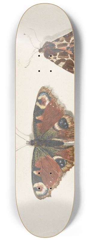 Johannes van Bronckhorst - Butterfly, Moth and Bumblebee 8.25 inch art skate deck