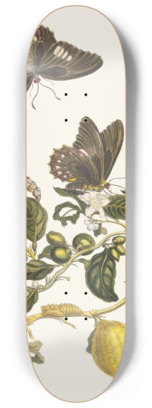 Maria Sibylla Merian - Limonier 8.25 inch art skate deck