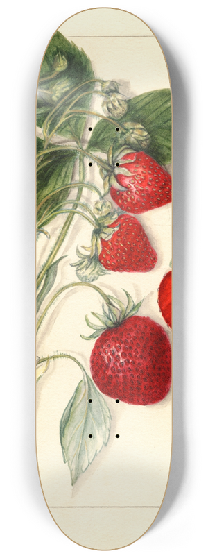 Mary Daisy Arnold - Fragaria: Dunlap 8.25 inch art skate deck