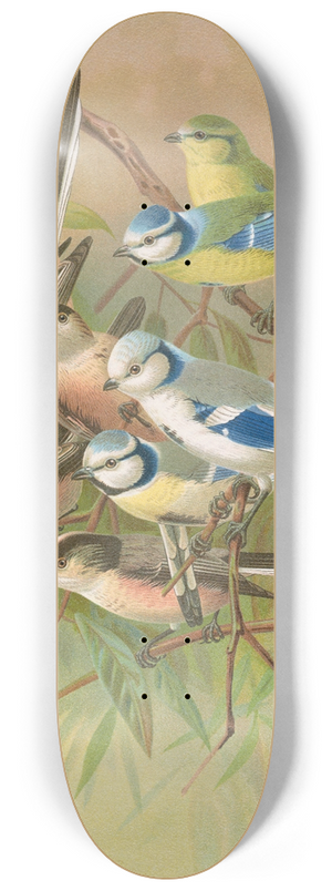 Johann Friedrich Naumann - Parus coeruleus, Aegithalus caudatus, caudatus vagans, caudatus Irbyi, Parus cyanus Pall 8.25 inch art skate deck