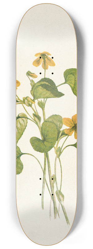 Mary Vaux Walcott - Smooth Yellow Violet. Viola eriocarpa 8.25 inch art skate deck